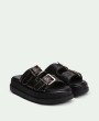 Wilder Black