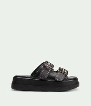 Wilder Black