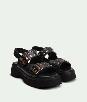 Feline Black