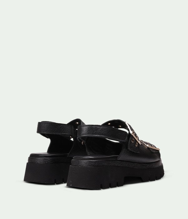 Feline Black