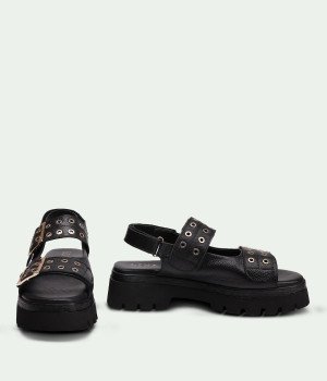 Feline Black