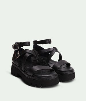 Vixen Black