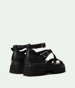 Vixen Black
