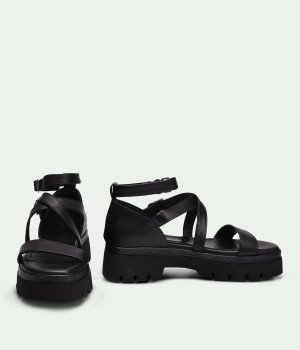 Vixen Black