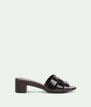 Positana Brown