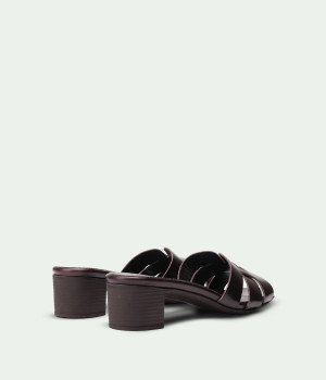 Positana Brown