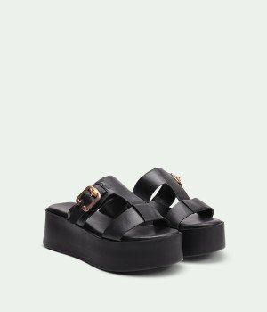 Monvera Black