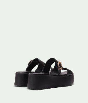 Monvera Black
