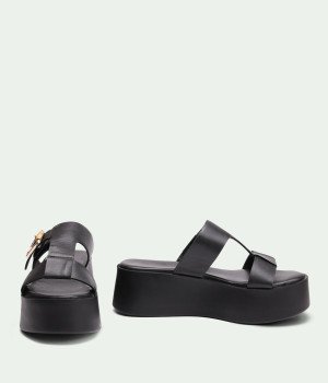 Monvera Black