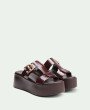 Monvera Brown