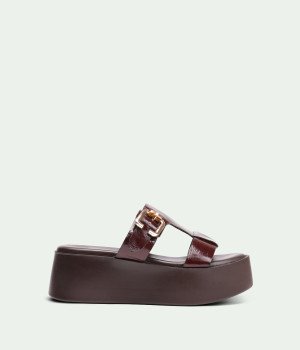 Monvera Brown