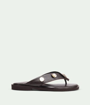 Coralie BrownSuede