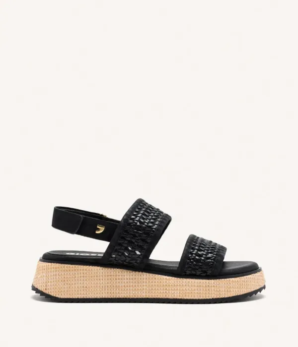 Zena Black Zena Black