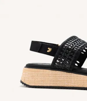 Zena Black Zena Black