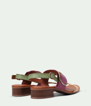 Tropico PurpleYellow