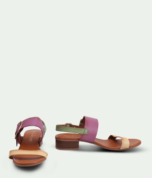 Tropico PurpleYellow