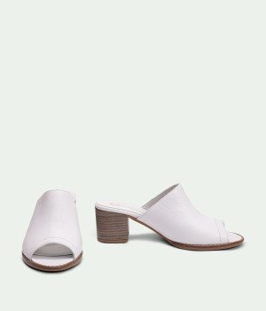 SlideIn White