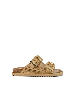 Pure Ease Gold