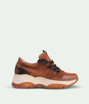 Impulso Brown