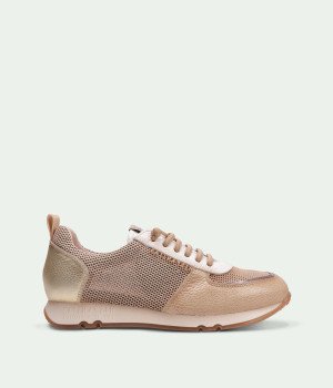Rayo Beige