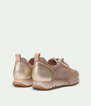 Rayo Beige