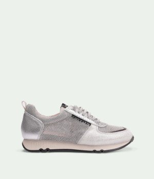 Rayo Silver