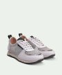 Rayo White