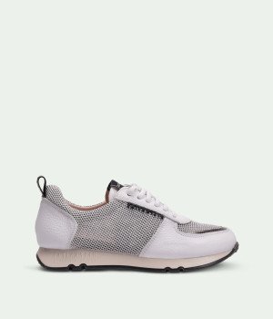 Rayo White