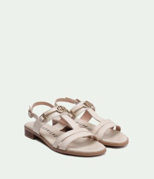 HV253952 LATTE