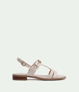 HV253952 LATTE