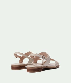 HV253952 LATTE