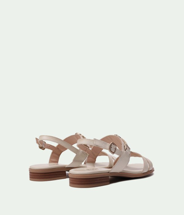 HV253952 LATTE