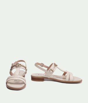 HV253952 LATTE