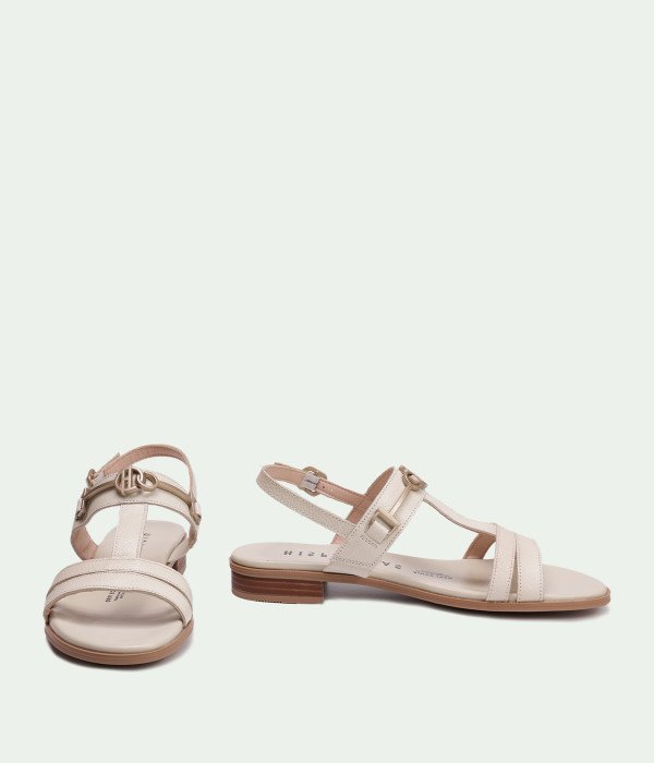 HV253952 LATTE