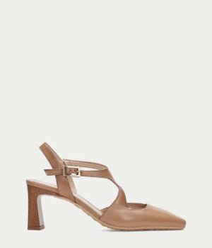 Zetrallo Amero Brown Zetrallo Amero Brown