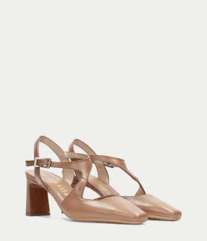 Zetrallo Amero Brown Zetrallo Amero Brown