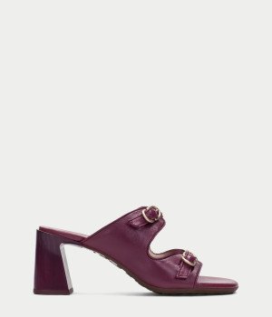 Maru Purple