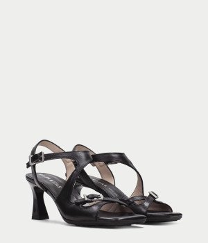 Ciro Black        