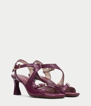 Ciro Purple   
