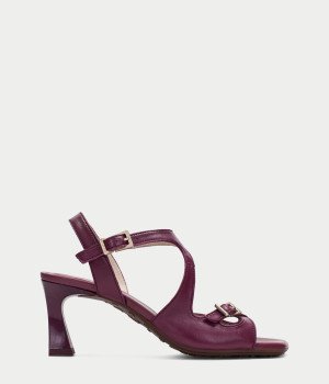 Ciro Purple   