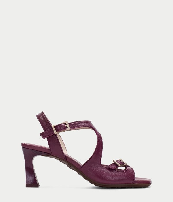 Ciro Purple   
