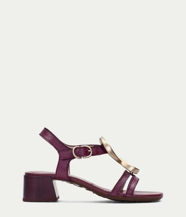 Olga Purple      