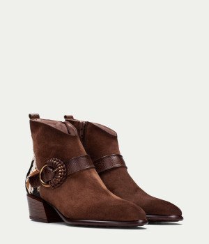 Novara Tenebris Brown Pony