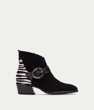 Novara Tenebris Black Zebra Novara Tenebris Black Zebra