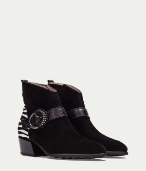 Novara Tenebris Black Zebra Novara Tenebris Black Zebra